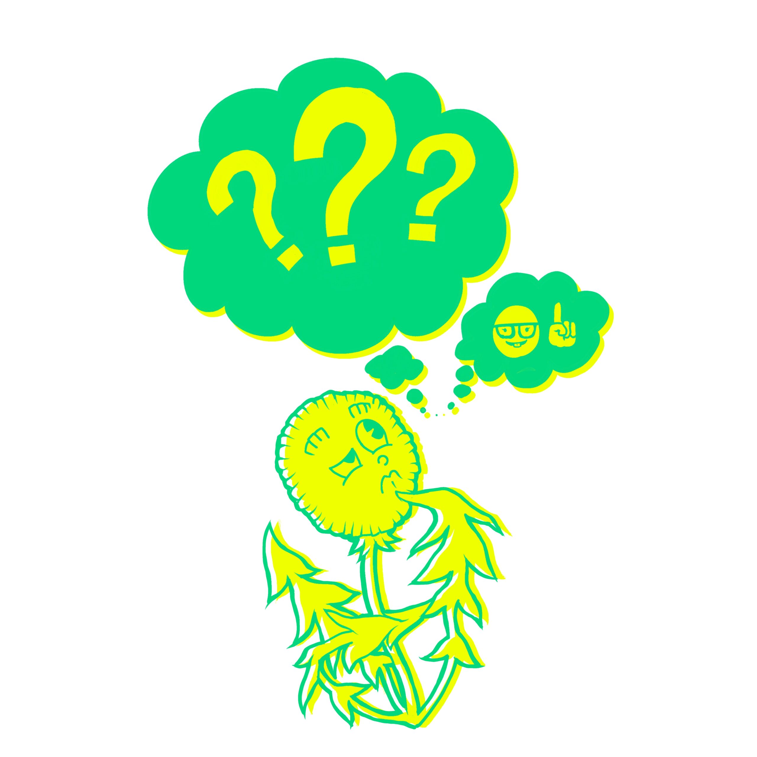 Parkonia_Bild_Quiz